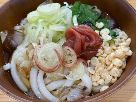 薬味たっぷり！ひんやり梅しそうどん